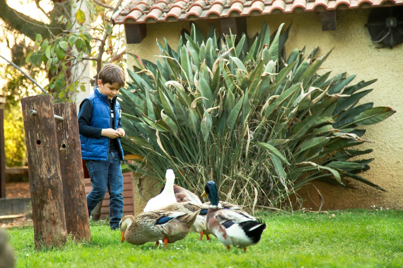 Azienda Agrituristica Il Pago โนวา ซิริ มาริน่า ภายนอก รูปภาพ