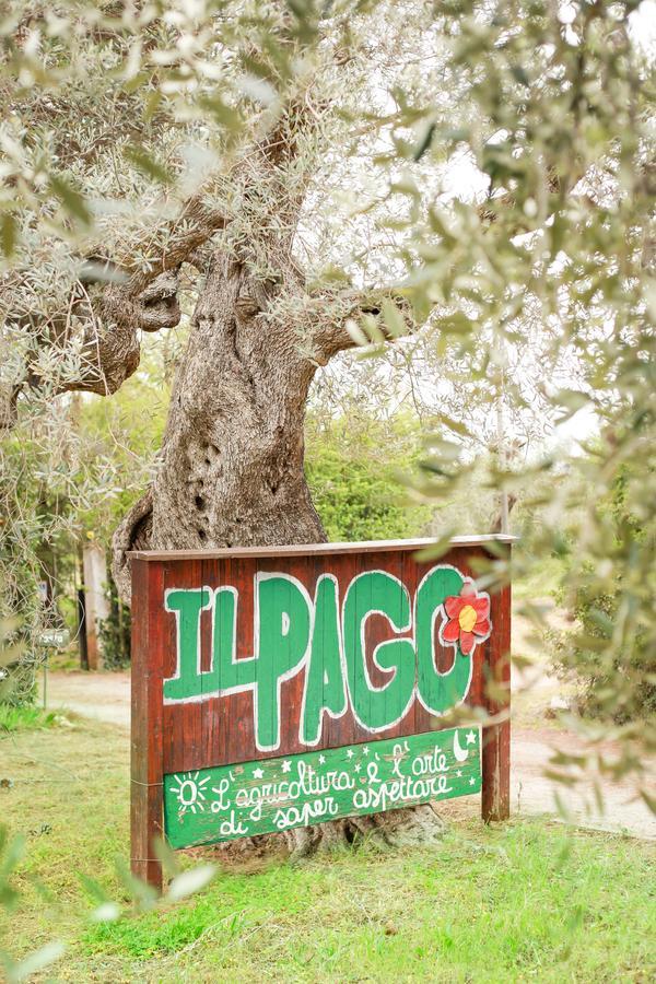 Azienda Agrituristica Il Pago โนวา ซิริ มาริน่า ภายนอก รูปภาพ
